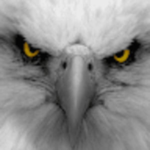 Meet your Posher, Andy